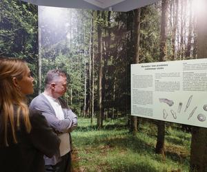Ciekawa wystawa archeologiczna do zobaczenia w Muzeum Zamojskim. Dotyczy życia Jaćwingów