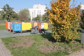 Dzikie harce dzików na Białołęce. Zwierzęta zdemolowały park!