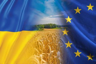 Umowa UE-Ukraina: Liberalizacja handlu czy zagrożenie dla polskich rolników? Burza po decyzji