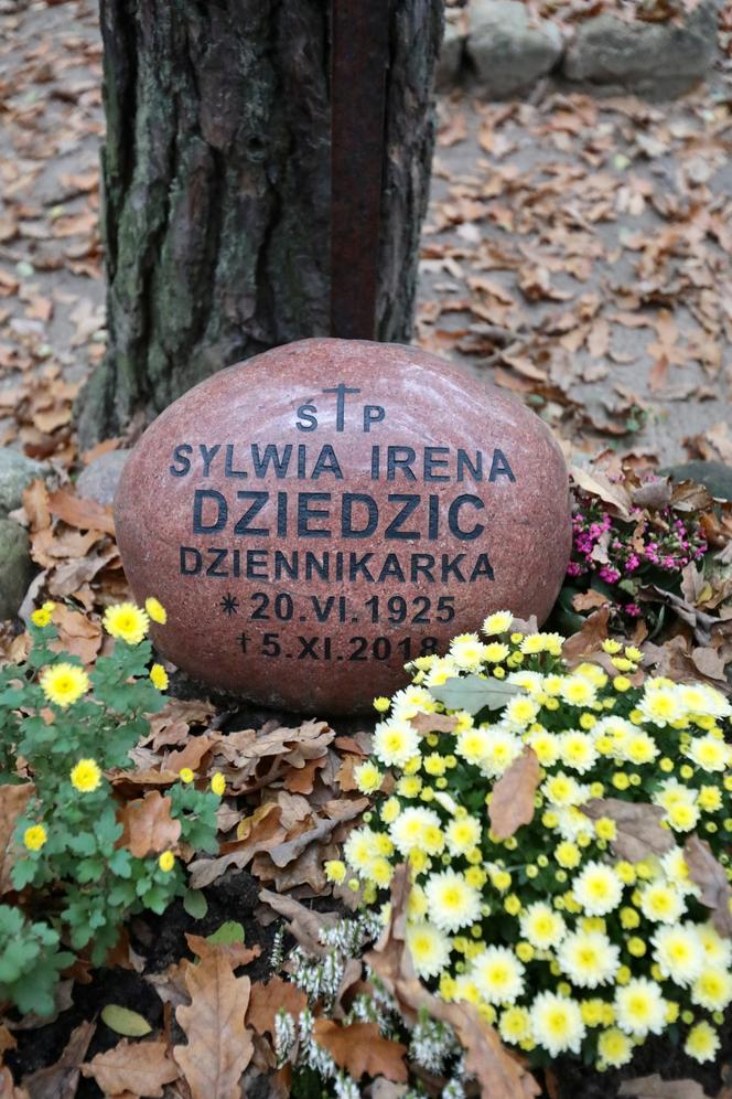 Kamień na grobie Ireny Dziedzic