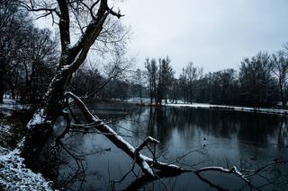 Skawiński park w zimowej otoczce