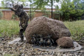 Koty na Księżym Młynie w Łodzi