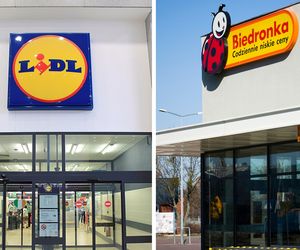 Lidl & Biedronka