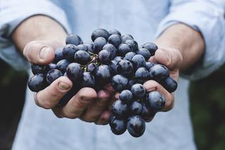 Winogrona marynowane - smaczne lakarstwo na chore nerki