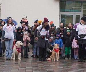 Golden Retriever WOŚP w Poznaniu