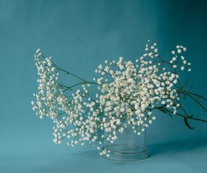 Życzenia imieninowe dla Seweryna. Piękne i mądre propozycje gotowe do wysłania