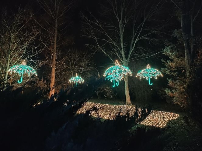 Park iluminacji w Lublinie