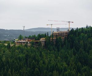 Ścieżka w koronach drzew w Wiśle