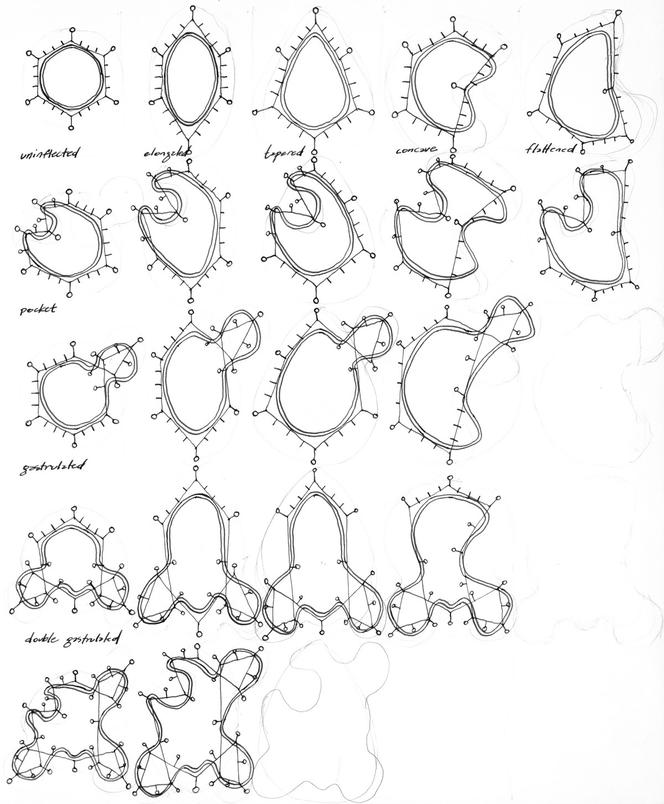 Greg Lynn. Architekt w poszukiwaniu innowacji