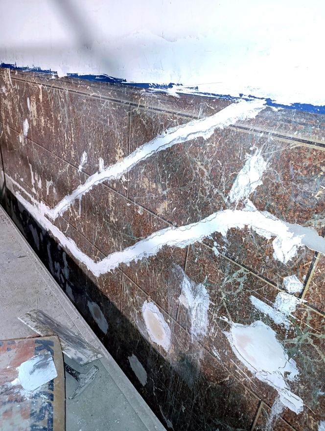 Renowacja kamienicy przy ul. Cybulskiego 19, Wrocław