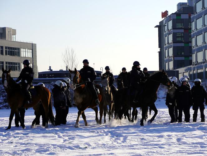 Warszawa: konie w policyjnej służbie