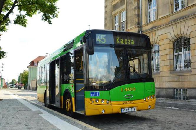 ZTM Poznań: Autobusy elektryczne jeszcze za drogie - Transport Publiczny