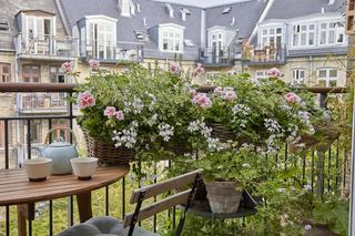 Kwiaty do skrzynek balkonowych