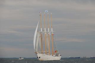 ParadaZagleGdyni2014_FotMZwierz_710110