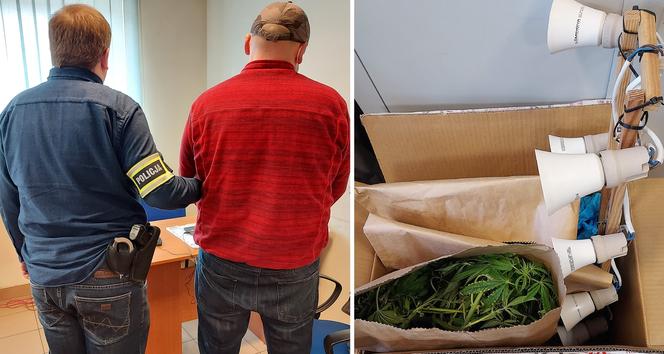 Rawa Mazowiecka: 36-latek uprawiał marihuanę... w szafie!