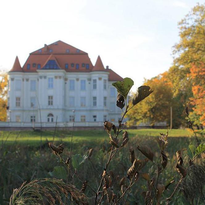 Po zamku nie widać już pożaru, który dotknął budynek po wojnie