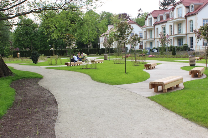 W ubiegłym roku część botaniczna Parku Oliwskiego została zagospodarowana w stylu japońskim. Na tym nie koniec zmian w Parku.