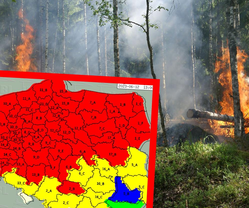Zakaz wstępu do lasu w warmińsko-mazurskim. Gdzie obowiązuje? [LISTA NADLEŚNICTW]