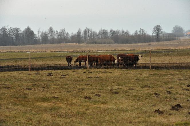 Pałac nad jeziorem czeka na Kaczyńską