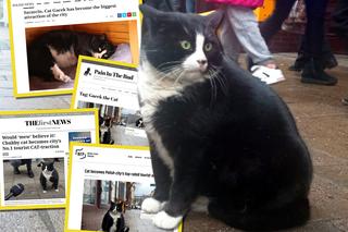 Kot Gacek zdobywa świat! O szczecińskiej atrakcji usłyszeli już daleko poza granicami kraju