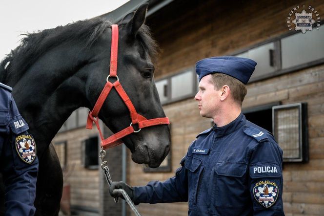 Śląska policja ma dwóch nowych funkcjonariuszy. To Donald i Rokita. Właśnie rozpoczęli szkolenie