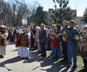 Biskupi w Niedzielę Palmową o męce Chrystusa, nawróceniu i Bożej miłości 