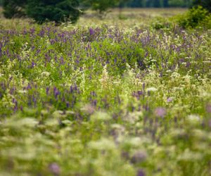 Małopolskie atrakcje turystyczne wyróżnione w prestiżowym plebiscycie. Na liście dwa mało znane miejsca