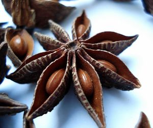 Lecznicza nalewka z anyżu: przepis na nalewkę anyżową