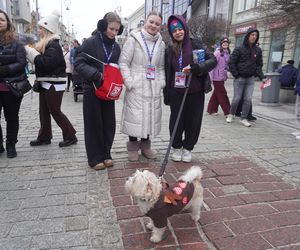 33. Finał WOŚP w Kielcach. Ulica Sienkiewicza