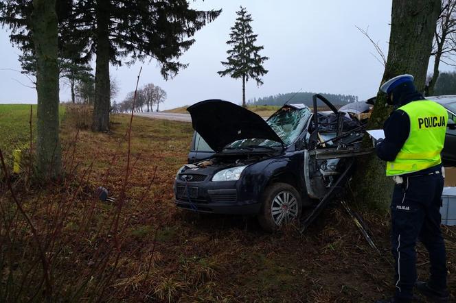 Wypadek na DK 19. Kierowca forda uderzył w drzewo. Dwie osoby zostały ranne