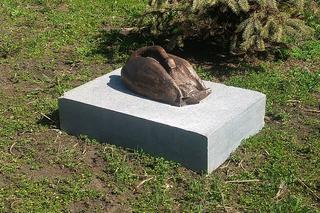 Ptaki i ptaszyska