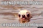 Najlepsze memy o wakacjach nad polskim morzem