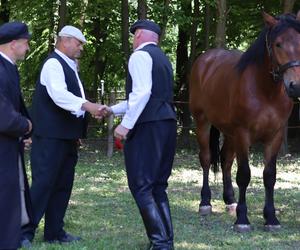 Jarmark koński w lubelskim skansenie przyciągnął tłumy