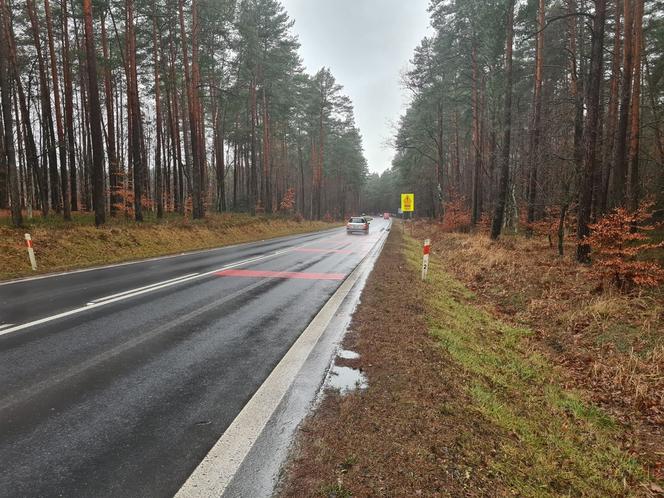 Zakręt śmierci w Jamnicy zabrał kolejne młode życie