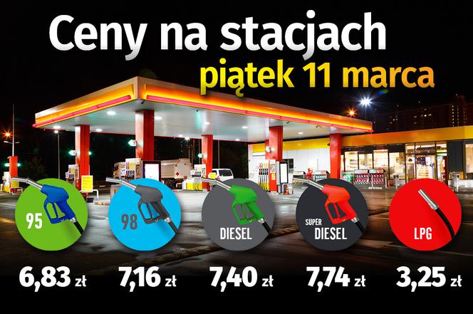 ceny paliw 11 03