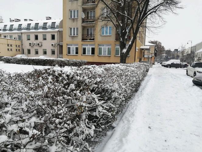 Zimowe klimaty w Siedlcach. Zobacz zdjęcia!