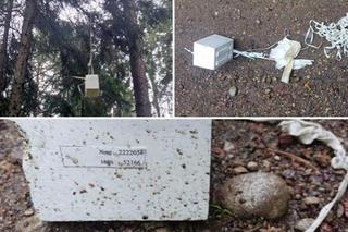 W lesie na Podlasiu znaleziono wiszący na drzewie tajemniczy obiekt. „Litery zapisane cyrylicą”