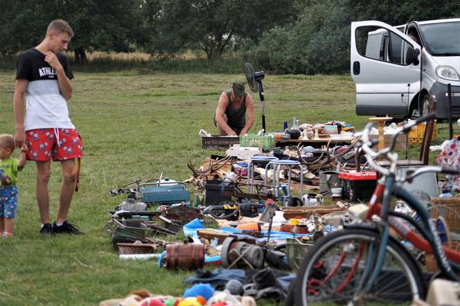 Pchli targ pod Bydgoszczą [ZDJĘCIA]