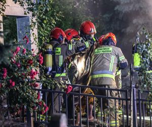 14-latka zginęła w pożarze bloku w Rzeszowie! Poszkodowanych zostało wiele osób [ZDJĘCIA, AKTUALIZACJA]