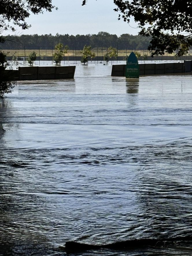 Zalana Kopalnia Wrocław. "Zdążyliśmy ewakuować wszystkie bary i sprzęt"