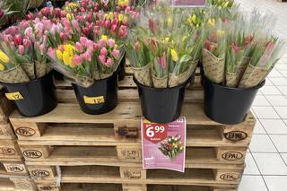 Dzień Kobiet 2023. Ceny kwiatów w Krakowie. Ile trzeba zapłacić za kwiaty w Biedronce, Lidlu, Auchanie?