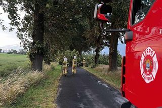 Potężna burza przeszła przez Bydgoszcz i region. Ponad 400 interwencji strażaków!