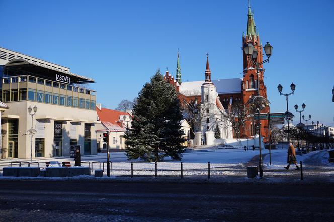 Choinka stanęła w centrum Białegostoku. 12-metrowa atrakcja gotowa na Boże Narodzenie