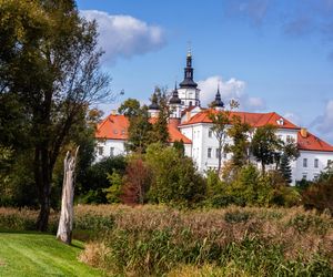 Wyjątkowa okazja, by odkryć największe perełki Podlasia. Wystarczy bilet za 8 zł