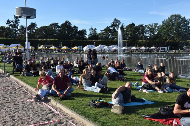 Last Minute Summer Festival 2020 - zdjęcia publiczności