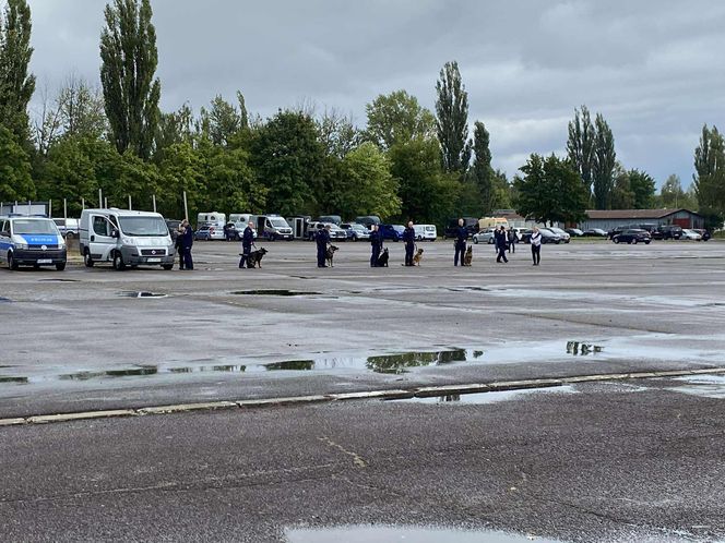 Ćwiczenia policjantów i strażników miejskich