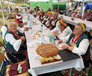 Dożynki 2024 w powiecie starachowickim. W Wąchocku dożynkowe wieńce, korowód i przysmaki