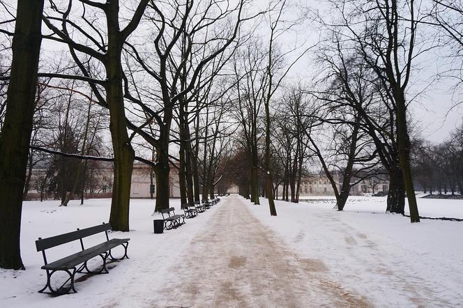 snieżyca w Warszawie