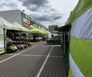 Ceny na bazarach w Białymstoku. Tyle zapłacimy za warzywa i owoce