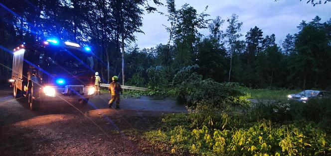 Front burzowy przeszedł przez Warmię i Mazury. Powalone drzewa, dużo strat materialnych [ZDJĘCIA]